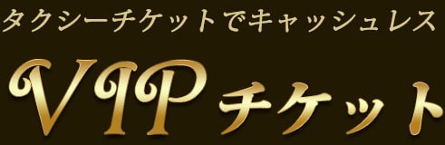 タクシーチケットでキャッシュレス「VIPチケット」